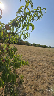 Maison - 115 m² - 7 pièces