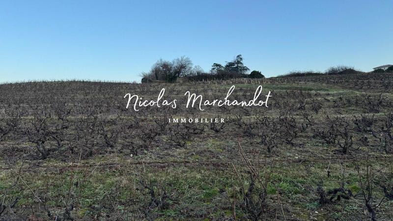 Local commercial - 130 900 m²