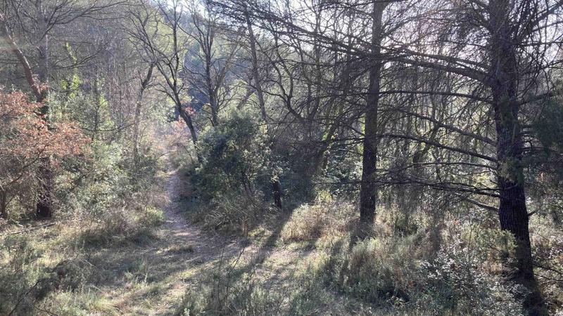 Terrain de loisirs - 25 775 m²