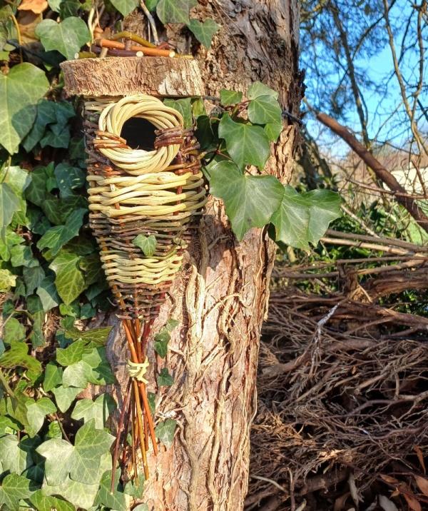 Balade découverte avec un vannier