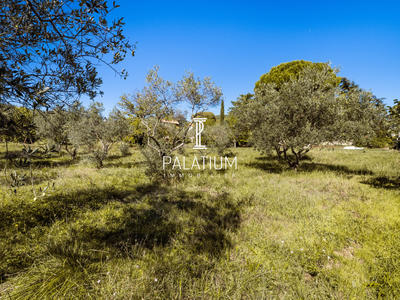 Terrain - 2 278 m²