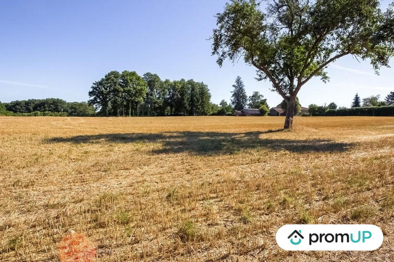 Terrain - 14 623 m²