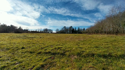 Terrain - 18 003 m²