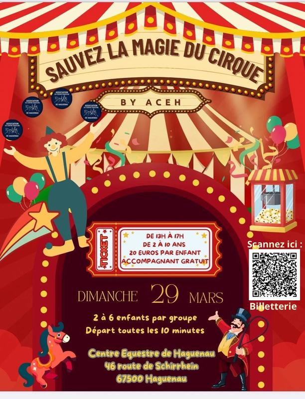 Escape Game / Sauvez la Magie du Cirque