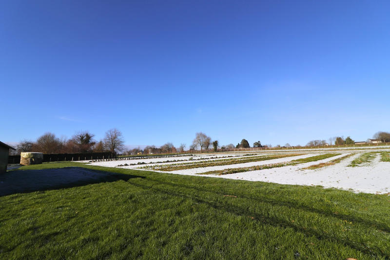 Maison - 109 m² - 5 pièces