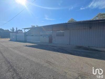 Local commercial - 662 m²