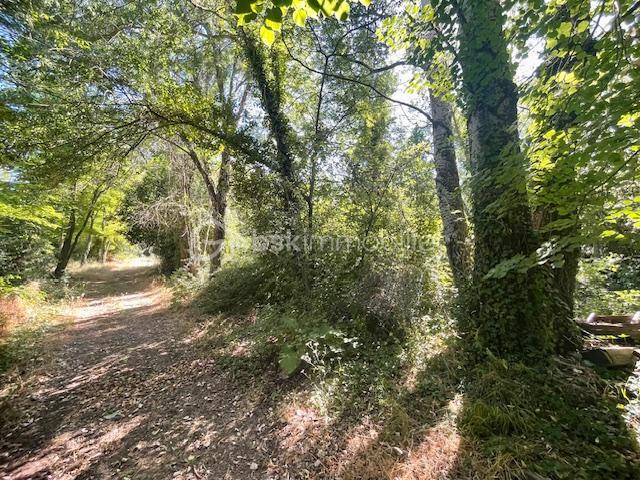 Terrain agricole - 6 013 m²