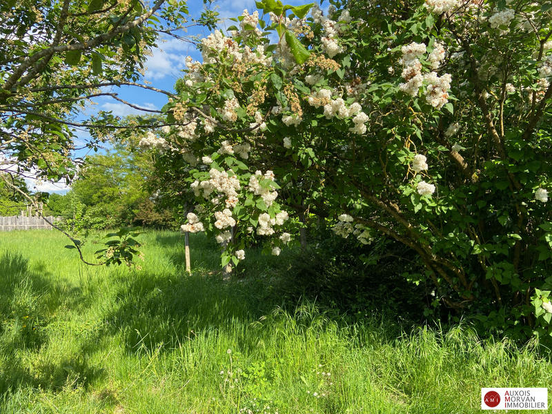 Maison ancienne - 248 m² - 7 pièces