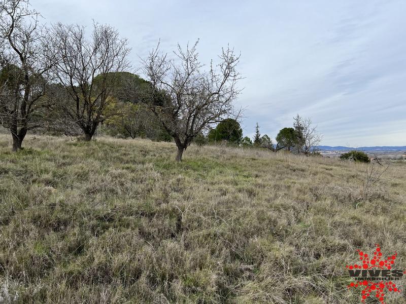 Terrain agricole - 5 915 m²