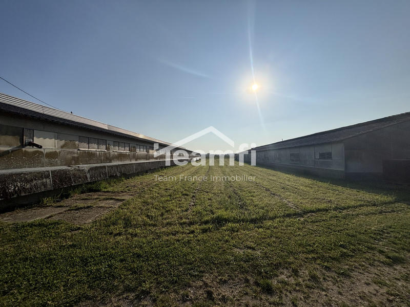 Ferme - 134 m² - 4 pièces