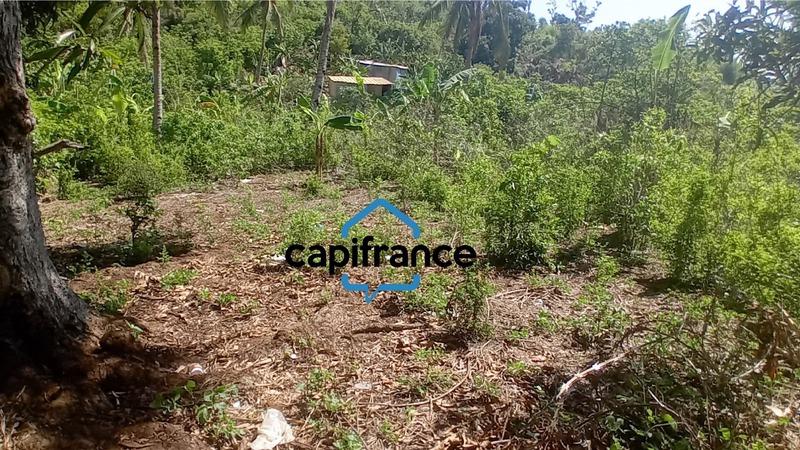 Terrain constructible - 596 m²