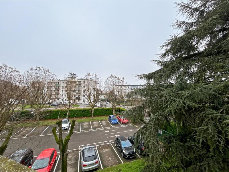 Appartement - 55 m² - 2 pièces