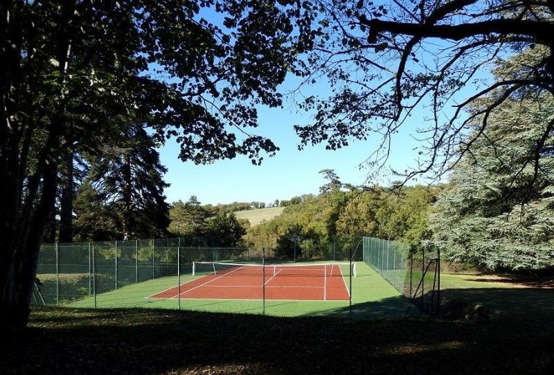 Château - 594 m² - 8 pièces