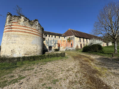 Château - 350 m² - 10 pièces