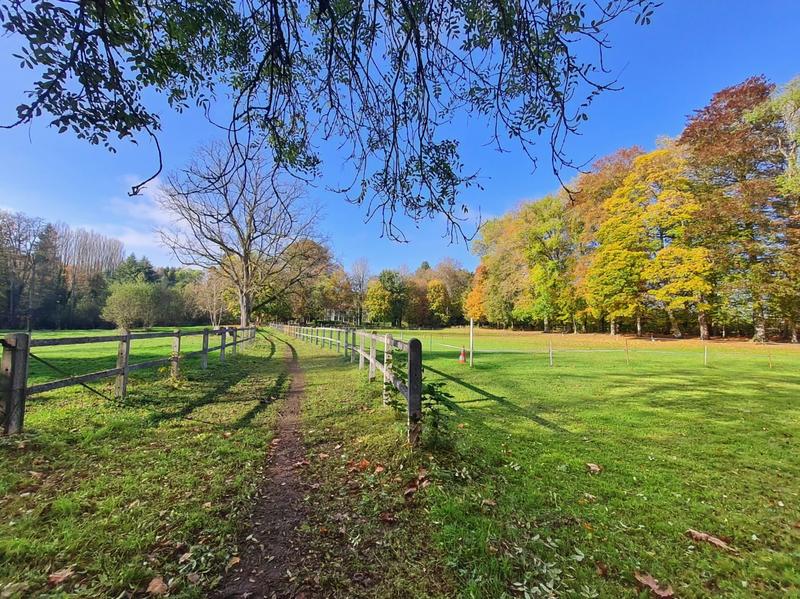 Château - 523 m² - 12 pièces