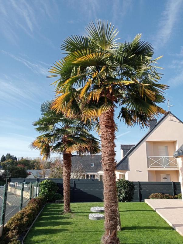 Maison - 157 m² - 6 pièces