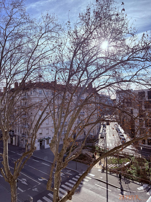 Appartement - 83 m² - 4 pièces