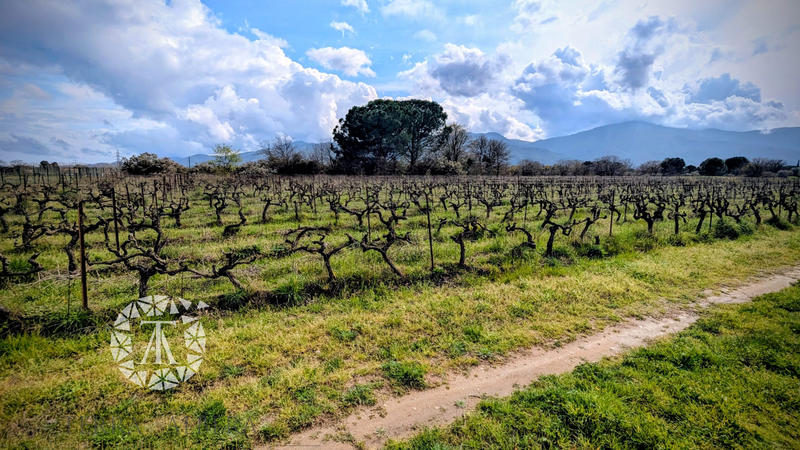 Terrain agricole - 2 169 m²