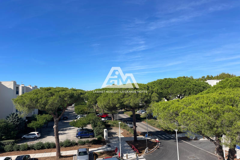 Appartement - 30 m² - 2 pièces