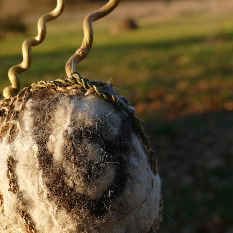 Stage de feutre de laine et tressage végétal