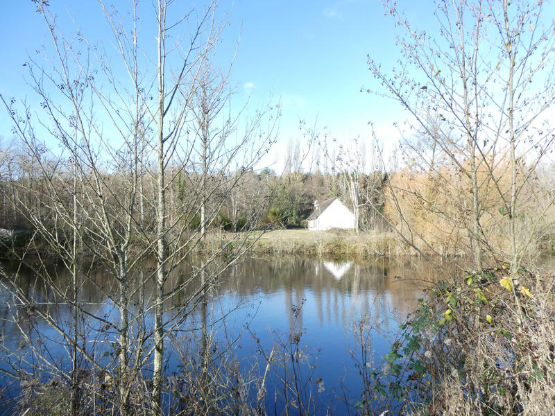 Maison - 138 m² - 5 pièces