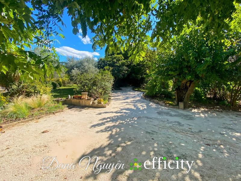 Mas - 259 m² - 9 pièces