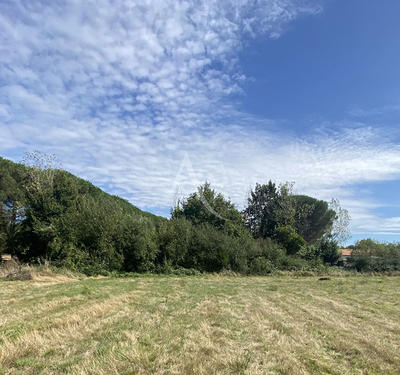 Terrain - 1 461 m²