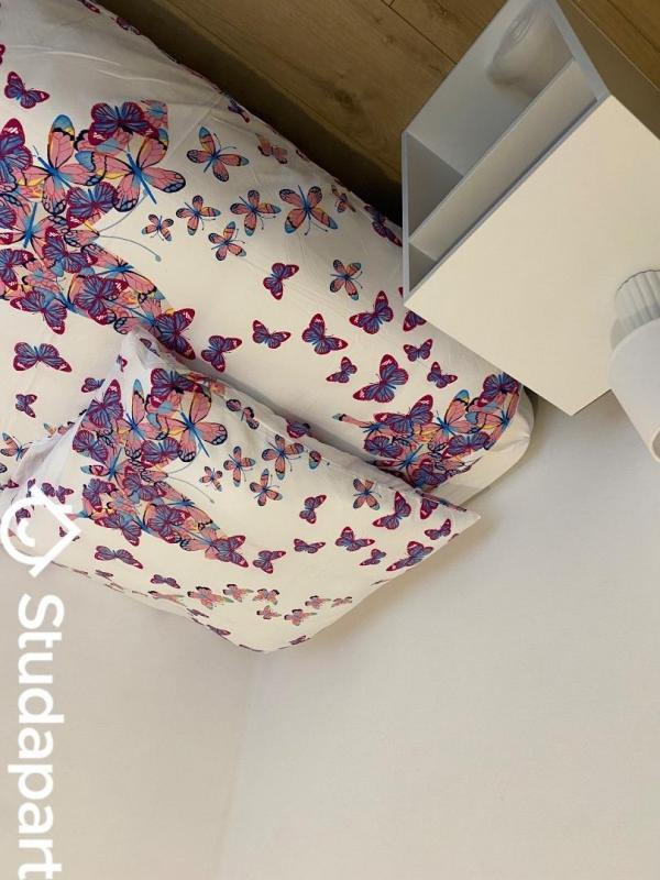 Chambre - 8 m² - 1 pièce