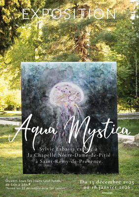 Exposition Aqua Mystica à Saint-Rémy-de-Provence