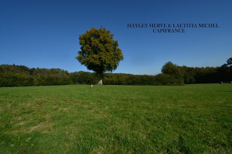 Maison - 250 m² - 9 pièces