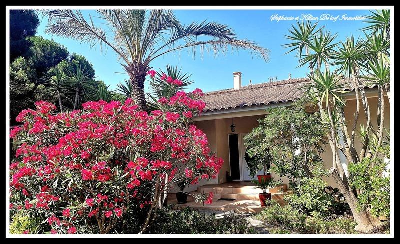 Maison d'architecte - 258 m² - 6 pièces