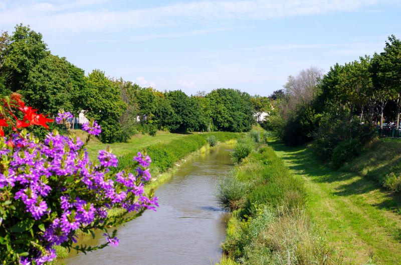 Visite guidée : la Cité d'hier à aujourd'hui