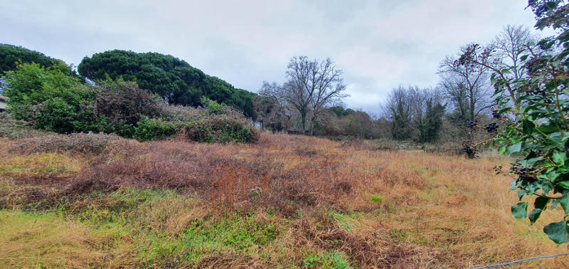 Terrain - 2 000 m²