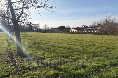 Terrain - 11 988 m²