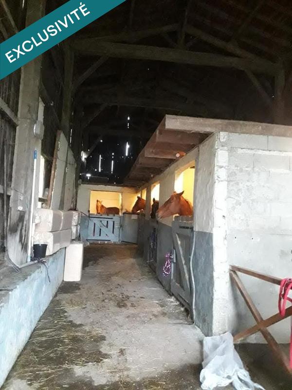 Maison - 335 m² - 14 pièces