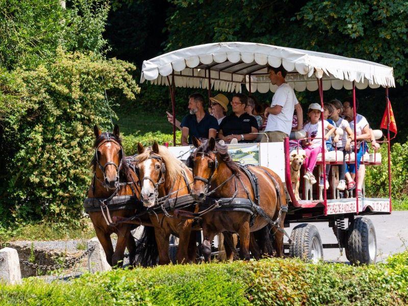 Balade en attelage "De la terre au pur-sang : balade au cœur de l’agriculture normande, au rythme des chevaux"