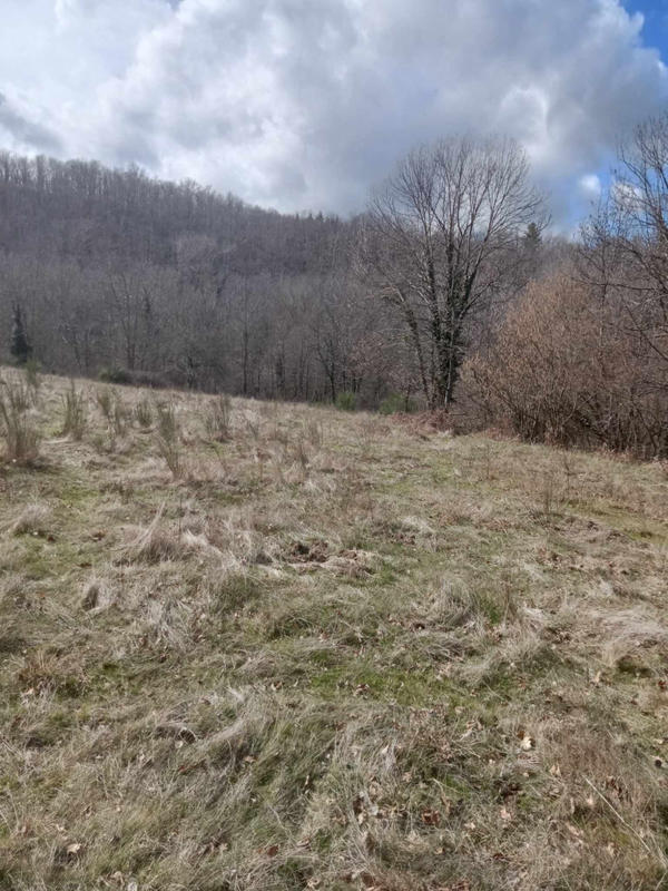 Maison - 275 m² - 9 pièces