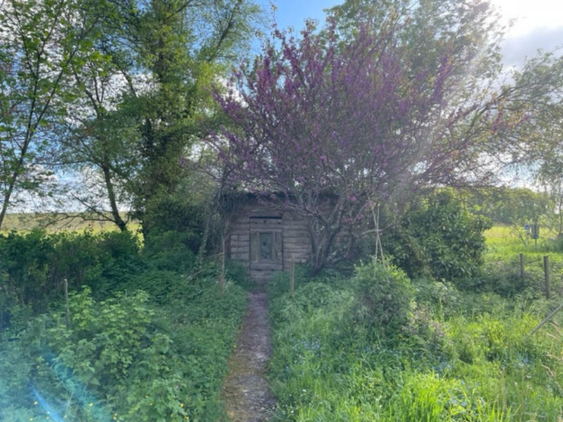 Maison ancienne - 113 m² - 7 pièces