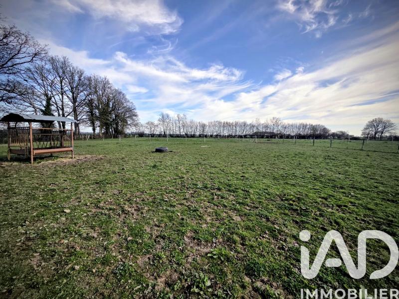 Maison de campagne - 130 m² - 5 pièces