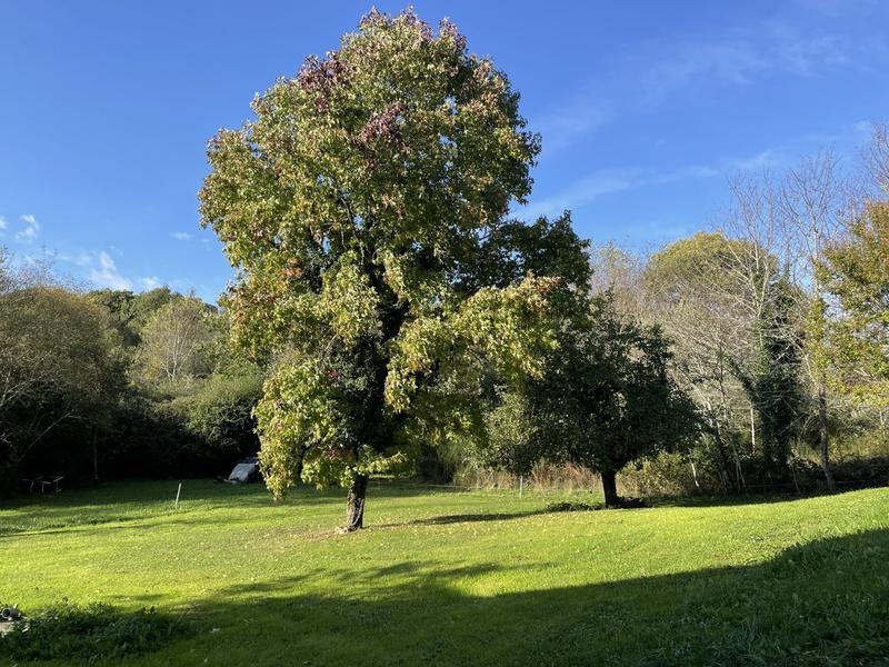 Maison - 205 m² - 5 pièces