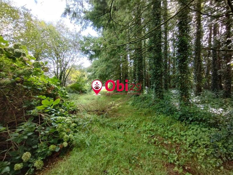 Maison - 54 m² - 3 pièces