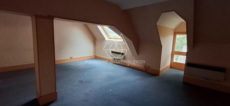 Château - 1 800 m² - 70 pièces