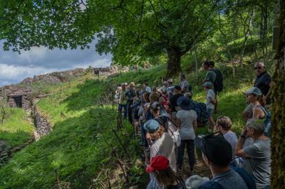 Sur les traces des soldats du Hartmannswillerkopf