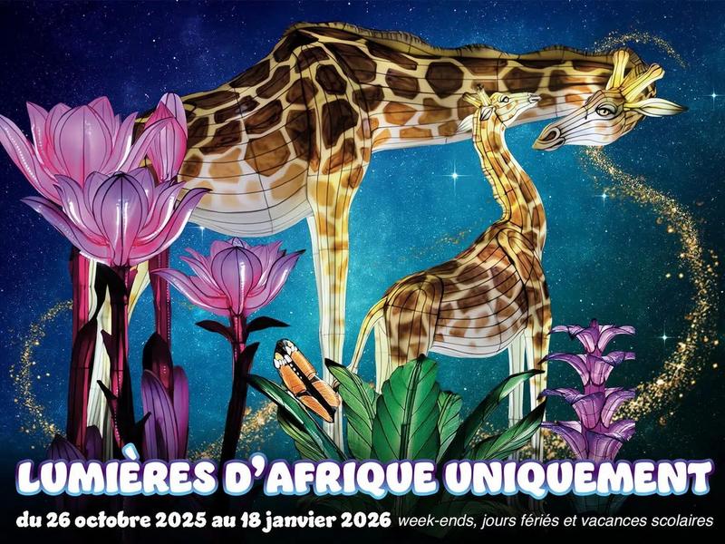 Festival Lumières d'Afrique