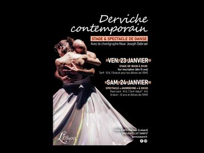 Spectacle de danse : &quot;Androgyne&quot;