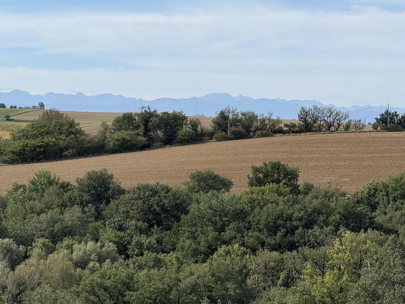 Ferme - 199 m² - 6 pièces
