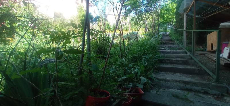 Maison - 145 m² - 7 pièces