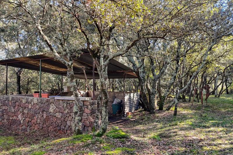 Maison - 185 m² - 4 pièces