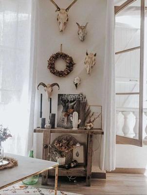 Appartement - 50 m² - 3 pièces