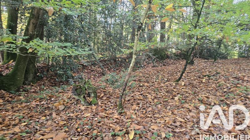 Terrain - 10 210 m²